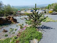 Od vrcholu arboreta je výhled do kraje