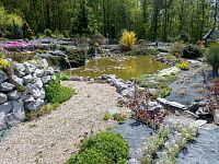 Jezírka jsou ve vrcholové části