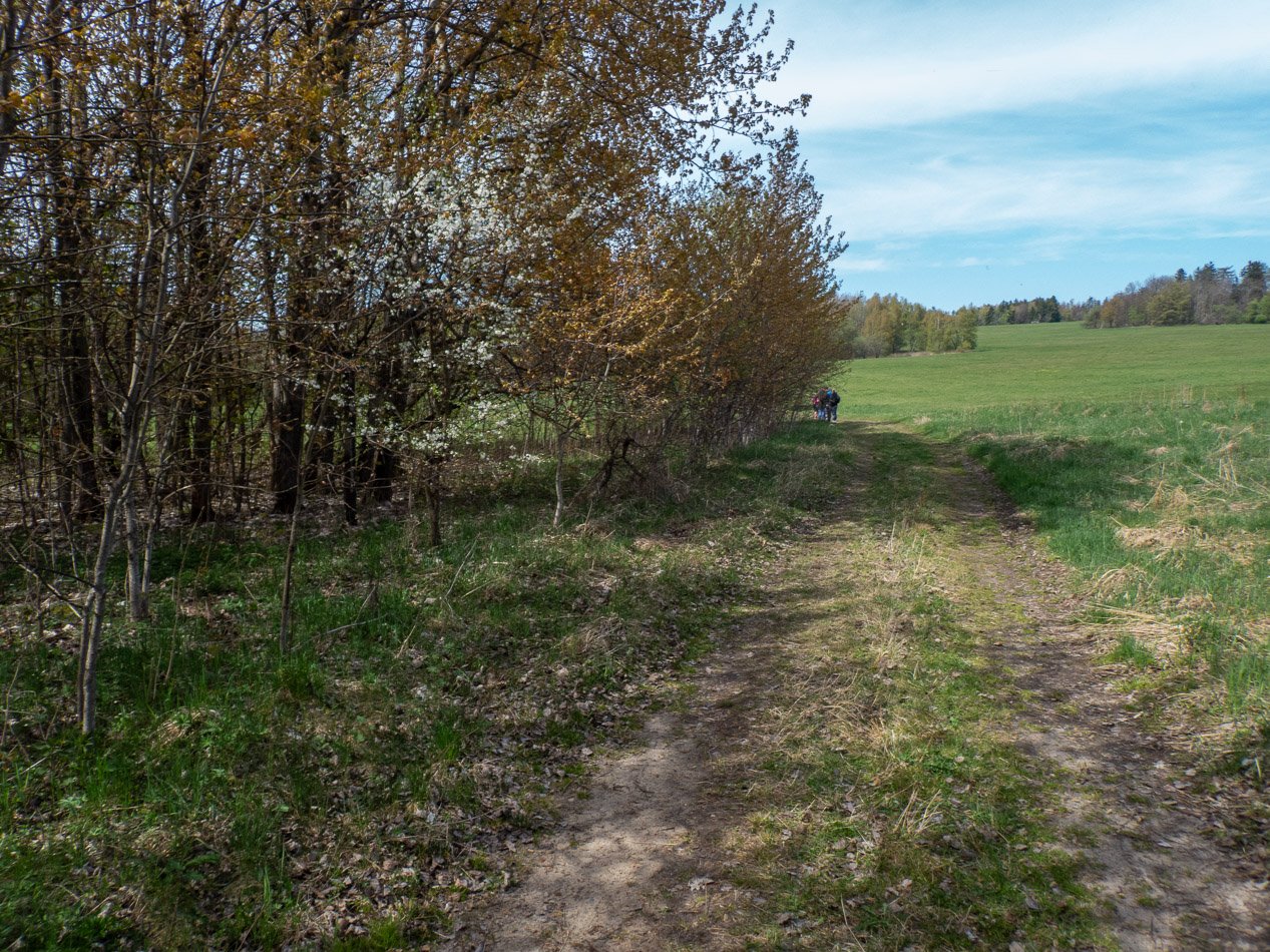 Hutdörfel (Hutov) • Kaple sv. Anny v troskách