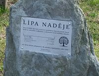 Mírný detail