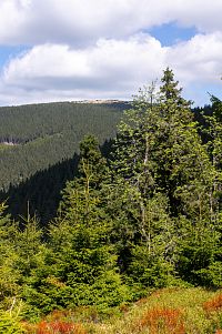 Keprník