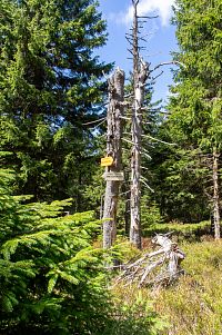 Sice lyžařská trasa a dolů raději bez lyží (nebo po skialpech)