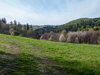 Okolní krajina Zábřežské vysočiny