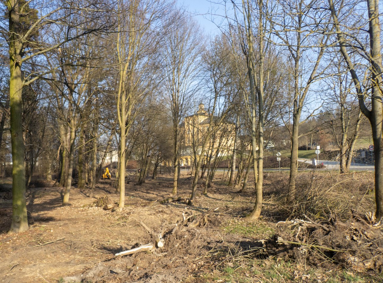 Třemešek • zapomenutý zámecký park