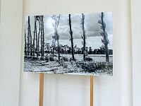 Okolní krajina
