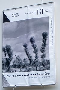 Vila Háj – výstavní i zábavná