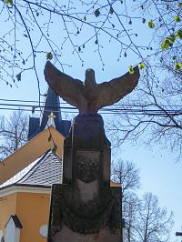 Vrcholový dravec