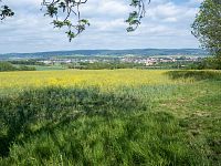 Výhled na Rousínov a Drahanskou vrchovinu