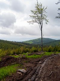 Troják