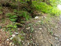 Studánka pod Bukovicemi