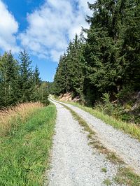 Samostatná modrá