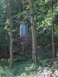 Lapač hmyzu