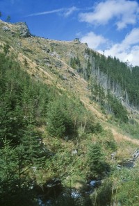 Údolí Borového potoka pod Medvědí horou