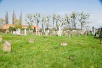 Židovský hřbitov Holešov celkem