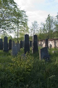 Nová Bystřice - židovský hřbitov