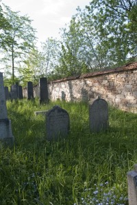 Židovský hřbitov v Nové Bystřici