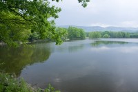 Velký rybník u Černé Vody