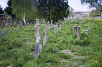 Židovský hřbitov v Rousínově