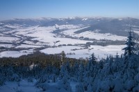 Výhled ze severního svahu na Králický Sněžník