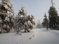 Trasa Petrovka -  Kouty most (k Pelikánovi)