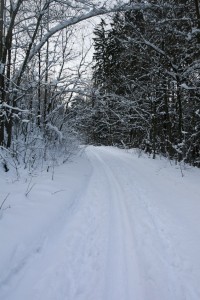 Vyšlapaná stopa