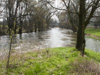 Morava ještě plná jarních vody z hor Třebůvka už líná