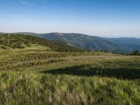 Jelení hřbet, Břidličná a závěr hřebenovky