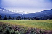 Na pozadí sněhové závěje