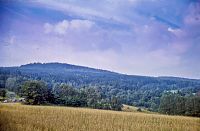 Krajina už v Česku