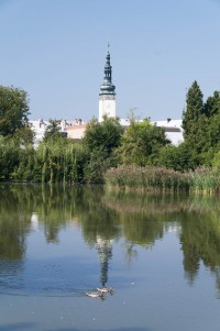 Radnice v odraze Olomouckého rybníka
