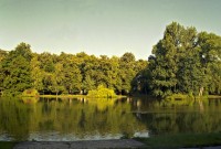 Olomoucký rybník, Uničovský rybník