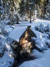 Studánka