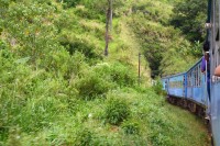 vlakem z Kandy do Hattonu a Haputale