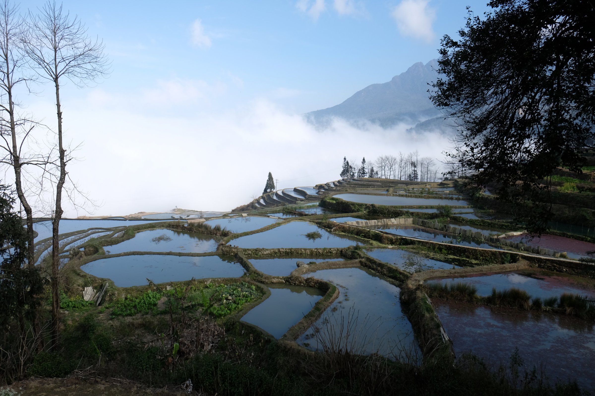 4 ryžové terasy v provincii yunnan čína