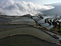 Rýžové terasy v Yuanyangu