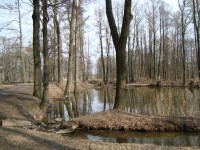 Borecké rybníky