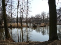 Borecké rybníky