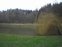 Stradonický rybník 