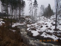 Jezerní potok