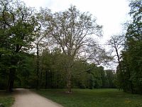 Zámecký park Veltrusy