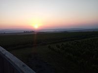 Východ slunce na Stezce nad vinohrady