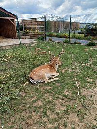 Zoopark Nehvizdy