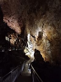 Grotta Gigante