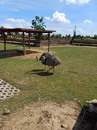 Zoopark Zelčín