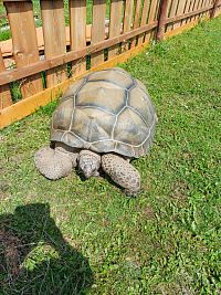 Zoopark Zelčín