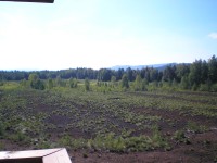 Pohled na rašeliniště z vyhlídkové věže