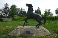 Pomník padlým koňům