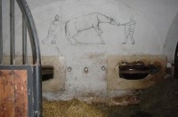 Obrázek na zdi koňského ustájení