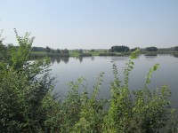Františkův rybník