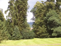 Zámecký park-v pozadí hrad Buchlov
